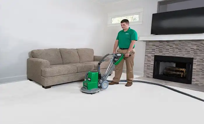 Professional Carpet Cleaning